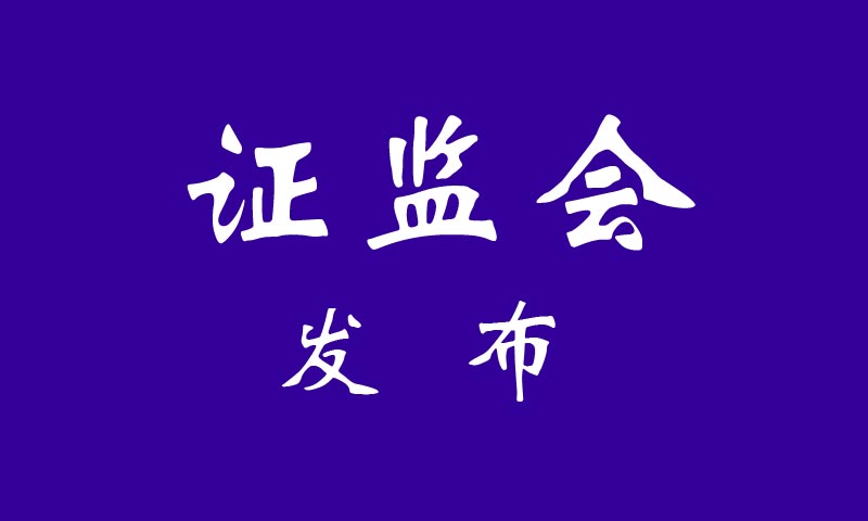 证监会回应蚂蚁集团暂缓上市:是对投资者和市场负责任的做法 要闻 第1张-壹财信