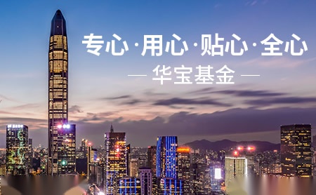 两绿色主题基金重仓迥异,华宝基金夏林锋似迷失自我 独家 第1张-壹财信