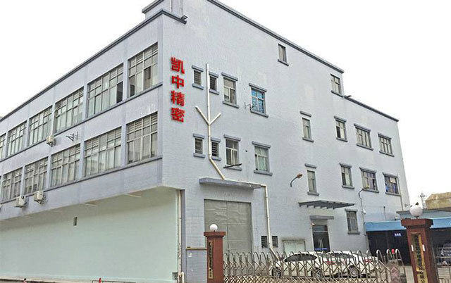 德国子公司专营汽车零部件+供货特斯拉比亚迪等 凯中精密封涨停 要闻 第1张