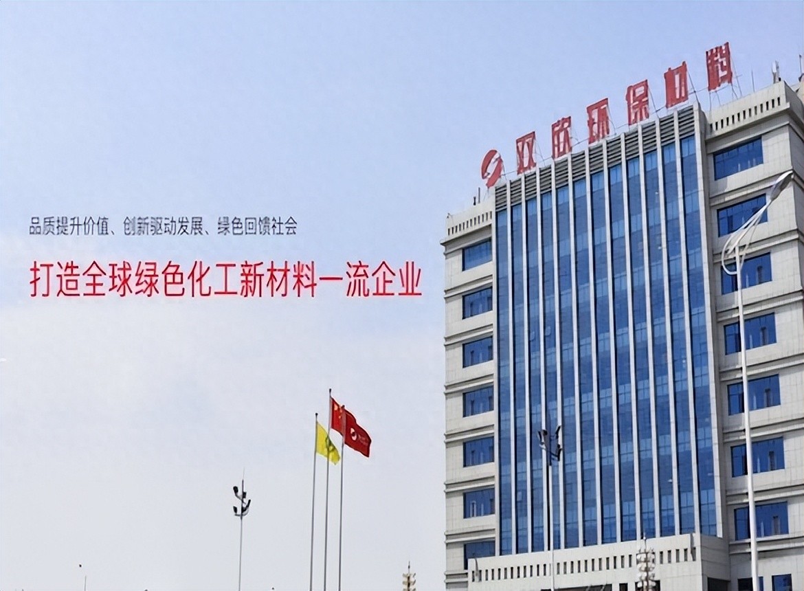 双欣环保:完善治理体系夯实发展根基,行业龙头地位稳步提升 要闻 第1张-壹财信