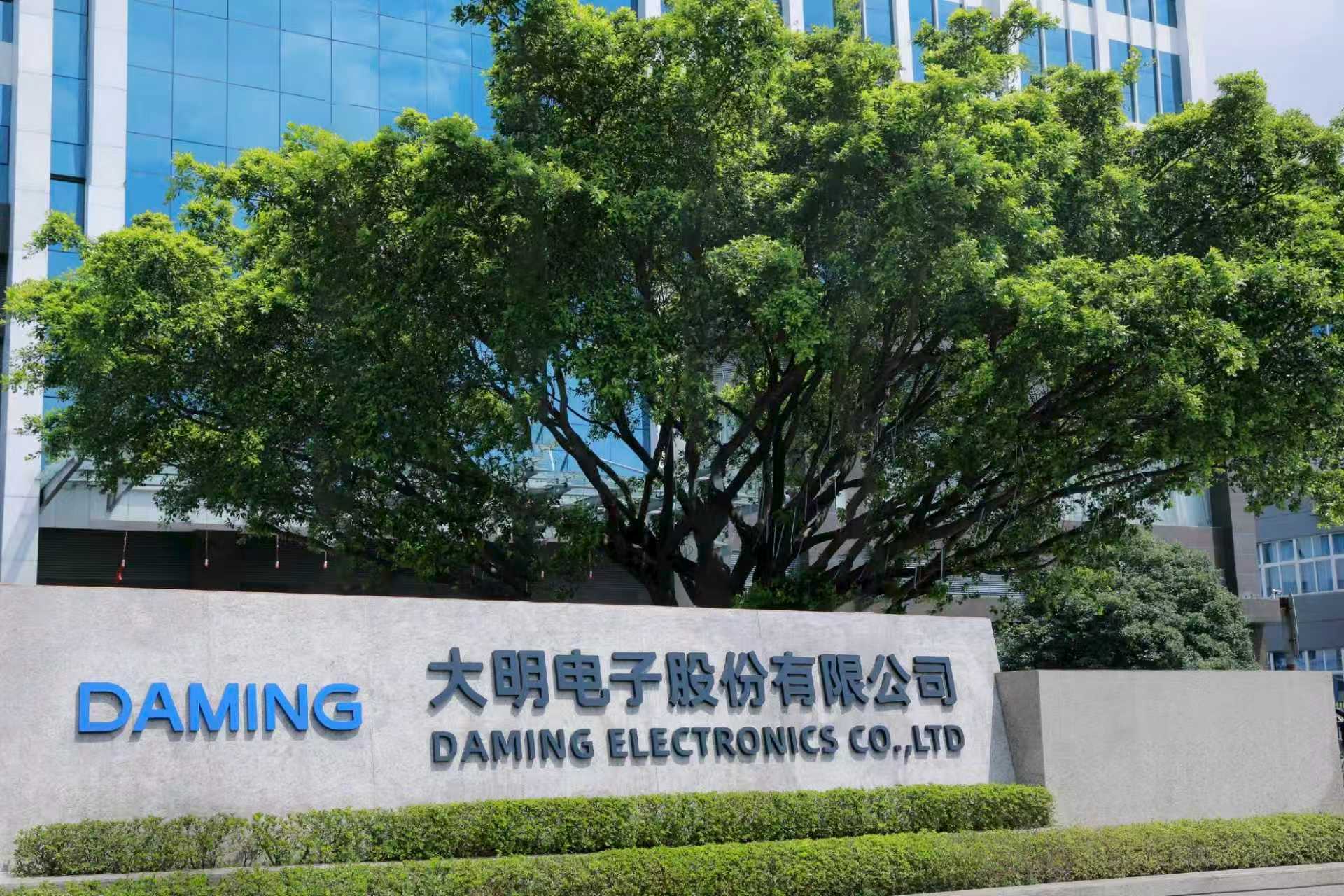 大明电子沪市主板挂牌,国产汽车电子龙头开启新篇章 要闻 第1张-壹财信